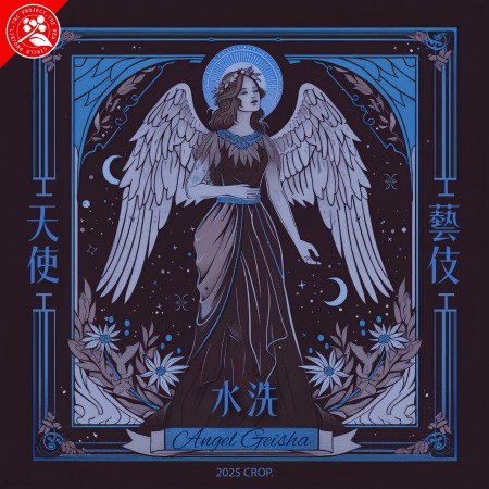 衣索/2025年批次/耶加雪菲/天使藝伎/水洗/咖啡豆225G/同品項加構享半價優惠!!!